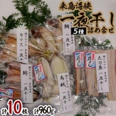 来島海峡一夜干し　詰め合せ【B240】