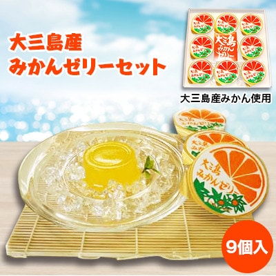【B30】大三島果汁　ゼリーセット