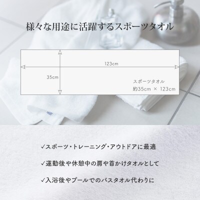 ( 今治タオル ) ランドスケープ スポーツタオル 1枚 色おまかせ 【IA05210】