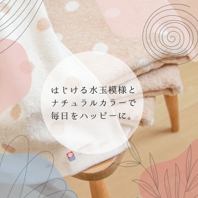 ( 今治タオル ) ドットオーガニック バスタオル 4枚セット【I000270BT4】