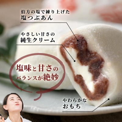伯方の塩　純生入り大福　8個入　2箱 【VA00700SET2】