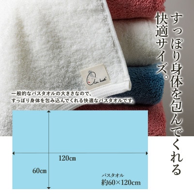 エアーかおる　ダディボーイ　バスタオル　4枚　スノーホワイト【I002240BT4SW】