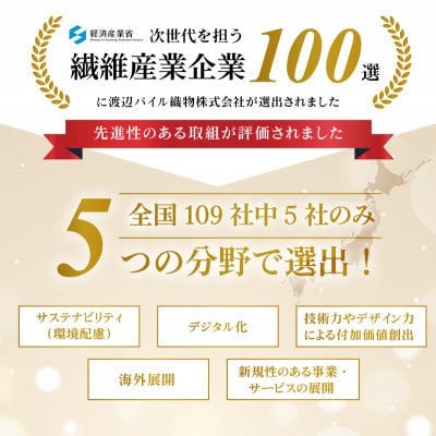 (今治タオル)しっかりサマルカンドフェイスタオル 2枚 グレー【IA05290FT2GY】