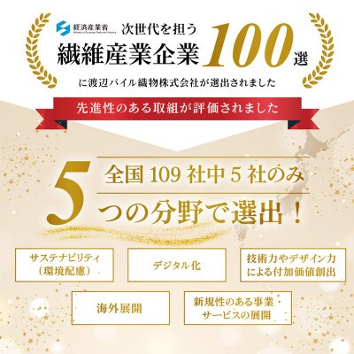 (今治タオル)しっかりサマルカンド バスタオル 2枚セット ベージュ【ID05380BEBE】