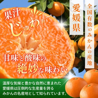 【先行予約】マルハ 温州みかん 3kg 数量限定 家庭用 【K003940K3】