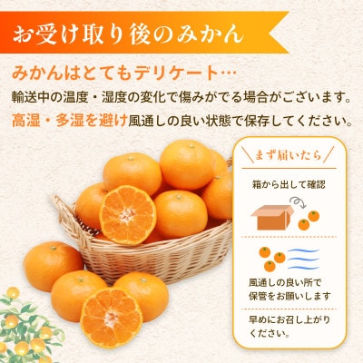 【先行予約】マルハ 温州みかん 3kg 数量限定 家庭用 【K003940K3】