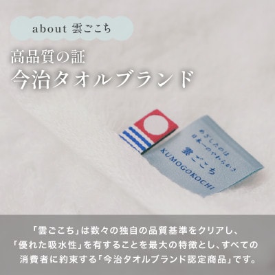 (今治タオル) 雲ごこち タオルケット 1枚 (オフホワイト) 【I004790KT1OW】