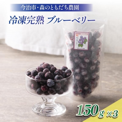 冷凍ブルーベリー(スタンディングパック)150g×3パック [VB00780]