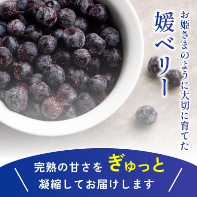 冷凍ブルーベリー(スタンディングパック)150g×3パック [VB00780]