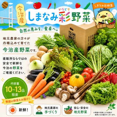 しまなみ彩野菜セット(今治産野菜の詰合せ)【VB00100】