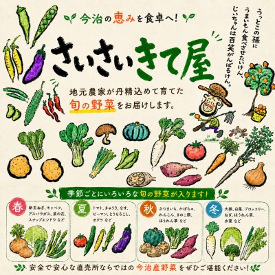 しまなみ彩野菜セット(今治産野菜の詰合せ)【VB00100】