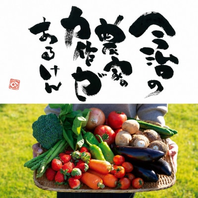 しまなみ彩野菜セット(今治産野菜の詰合せ)【VB00100】