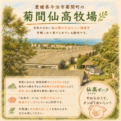 今治産仙高ポーク 豚小間切れ　2kg 【VB02650】