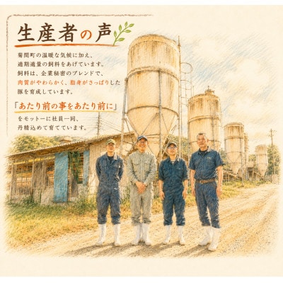 今治産仙高ポーク 豚小間切れ　2kg 【VB02650】