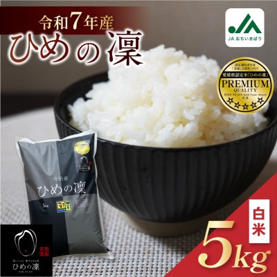 【先行予約】令和7年産米「ひめの凜」5kg　プレミアムクオリティ(美味しさ基準)【VB01580】 | ふるさと納税のお礼品