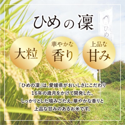 【先行予約】令和7年産米「ひめの凜」5kg　プレミアムクオリティ(美味しさ基準)【VB01580】