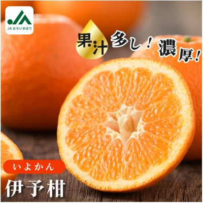 【先行予約】伊予柑 10kg いよかん 果汁たっぷり 家庭用 KB02080