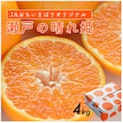 4kg、12月～1月に発送【先行受付】JAおちいまばり 瀬戸の晴れ姫(はれひめ)