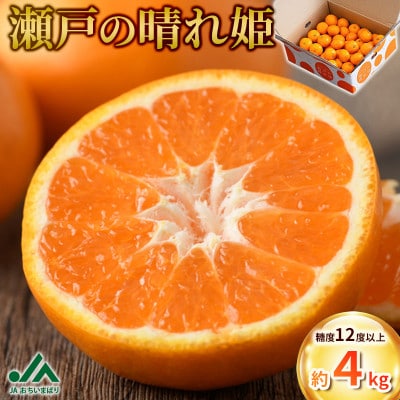 【先行受付】JAおちいまばり 瀬戸の晴れ姫(はれひめ)4kg、12月～1月に発送