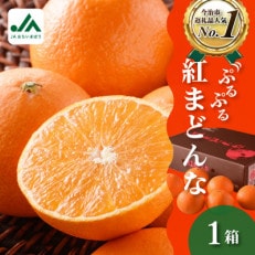 【C62】【先行受付】紅まどんな(化粧箱入)3L～L　10～15玉　11月中旬～12月中旬にお届け　