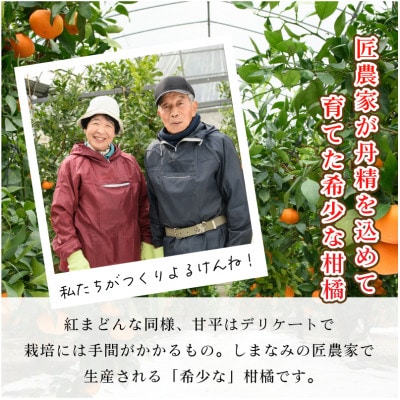 【先行受付】甘平 (化粧箱入) 高級柑橘 4L～2L 8～12玉 かんぺい KC00640