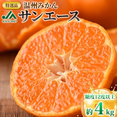 【先行受付】特選 ブランド温州みかん「サンエース」4kg 高糖度 みかん KB02210