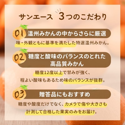 【先行受付】特選 ブランド温州みかん「サンエース」4kg 高糖度 みかん KB02210
