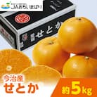 【先行予約】せとか 5kg 家庭用 柑橘 柑橘の大トロ KC00770