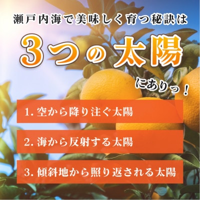 【先行受付】はるみ　5kg　家庭用 柑橘 手でむける KB02530
