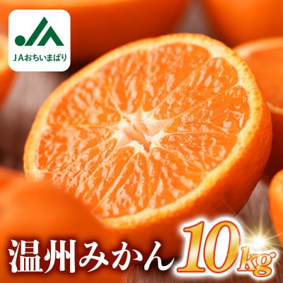 【先行予約】温州みかん 10kg L~Sサイズ　JA選果品【KC00760】