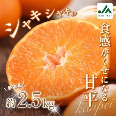 【先行予約】甘平 2.5kg 家庭用 高級柑橘 甘い 小箱 愛媛県オリジナル品種