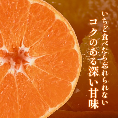 【先行予約】甘平 2.5kg 家庭用 高級柑橘 甘い 小箱 愛媛県オリジナル品種