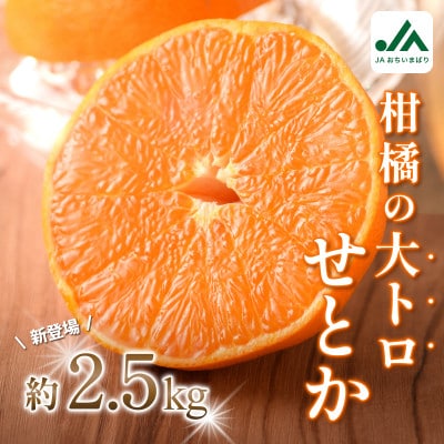 【先行予約】せとか 2.5kg 家庭⽤ 柑橘 柑橘の大トロ　小箱