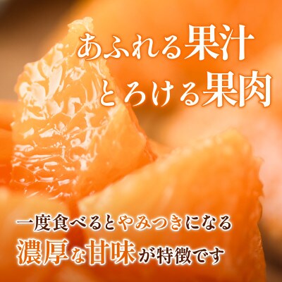 【先行予約】せとか 2.5kg 家庭⽤ 柑橘 柑橘の大トロ　小箱