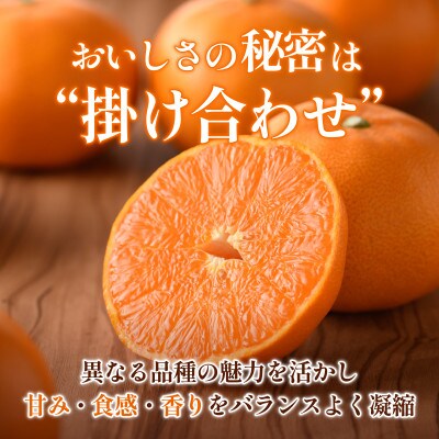 【先行予約】せとか 2.5kg 家庭⽤ 柑橘 柑橘の大トロ　小箱