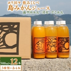 ホリ田ヤの飲みくらべ 島みかんジュース 3種類500ml×12本セット【VC00690】