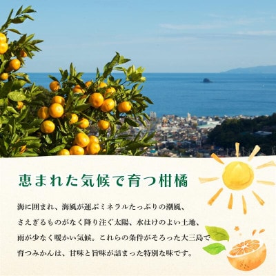 【先行予約】【数量限定】ホリ田ヤ ブラッドオレンジ 2.5kg【K002440】