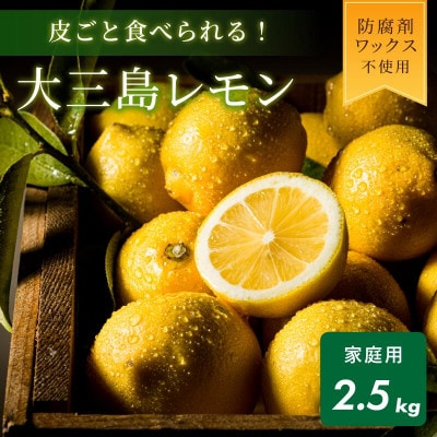 【数量限定】ホリ田ヤ 皮ごと食べられる島育ちレモン2.5kg【K002450】