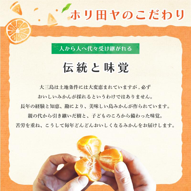 【先行予約】【数量限定】ホリ田ヤ せとか 2.5kg【K002420】