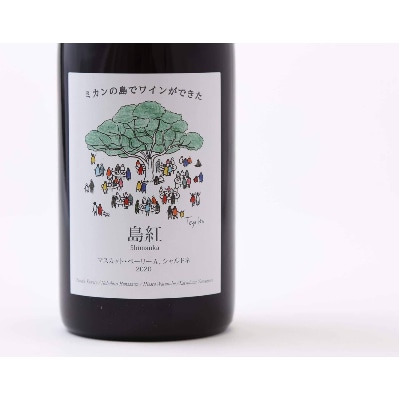 大三島みんなのワイナリー　大三島産ワイン2本セット(赤・ロゼスパークリング)【C-203】