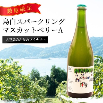 【数量限定】島白スパークリング《750ml》【V003320】