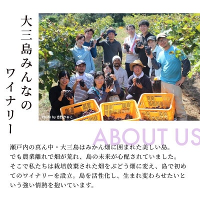 【数量限定】島白スパークリング《750ml》【V003320】