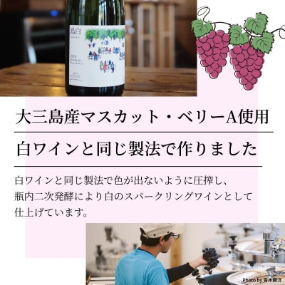 【数量限定】島白スパークリング《750ml》【V003320】