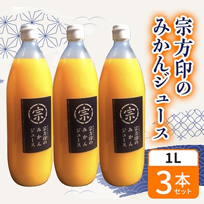 宗方印のみかんジュース 3本セット【B66】