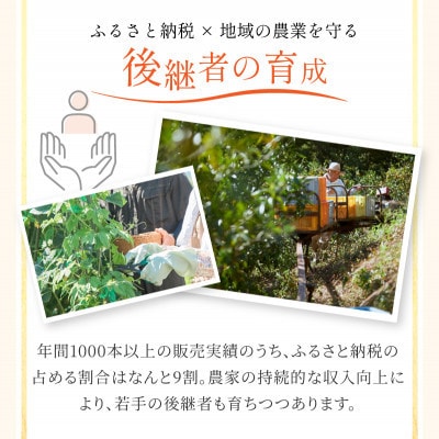 宗方印のみかんジュース 3本セット【B66】