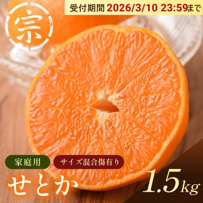 【宗方印】【数量限定】せとか 約1.5kg(家庭用) 【K003570K1.5】