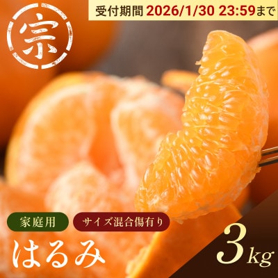 【宗方印】【数量限定】はるみ 約3kg(家庭用)【K003580K3】