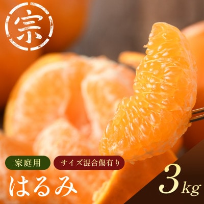 【宗方印】【数量限定】はるみ 約3kg(家庭用)【K003580K3】