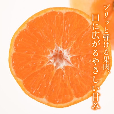 【宗方印】【数量限定】はるみ 約3kg(家庭用)【K003580K3】