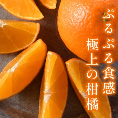 【宗方印】【数量限定】宗方のまどんな 約1.5kg(家庭用) 【K003600K1.5】